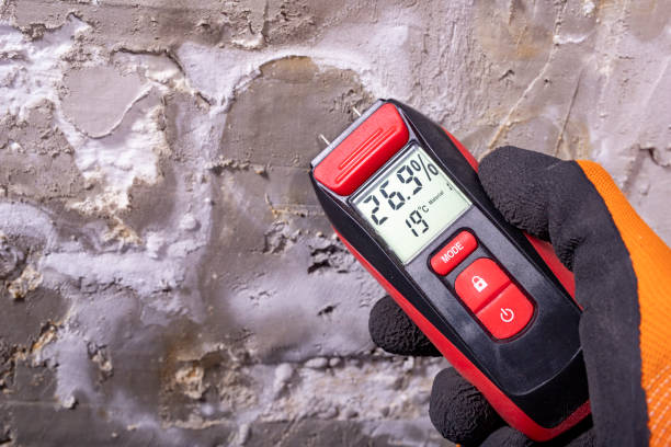 Best Mold Remediation for Schools in Round Lake Heights, IL