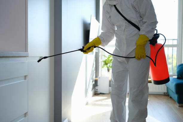 Best Localized Mold Remediation (e.g., coastal areas, humid climates) in Round Lake Heights, IL