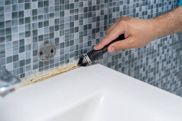 Best Post-Flood Mold Remediation in Round Lake Heights, IL
